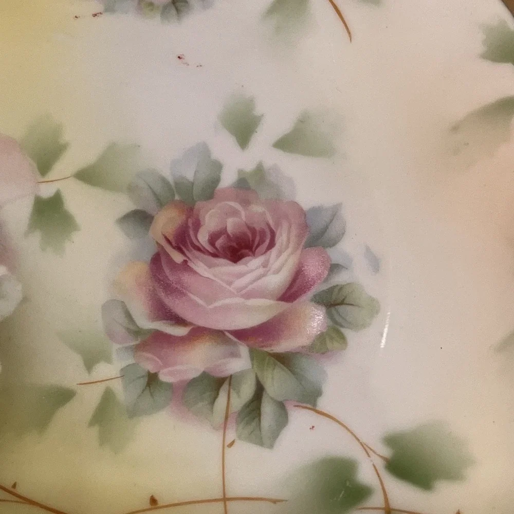 Vintage Royal Rudolstadt Prussia Decorative Plate Pink Roses 8.5